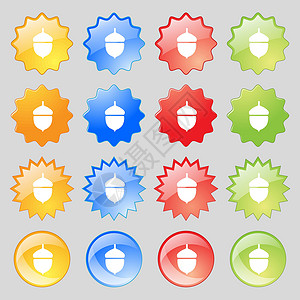 圆形小灌木橡子图标符号 大套16个色彩多彩的现代按钮用于设计 矢量插画