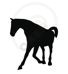 多马拉车长得像好姿势的马背草图插图黑色主力骑士白色冒充货车骏马马拉设计图片