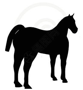 白色上隔离的马脚圆背插图骑士货车草图阴影主力骏马姿势冒充背景图片