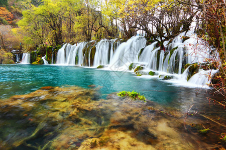 吉扎伊古大风景旅行环境遗产公园世界假期游客旅游箭竹绿色图片