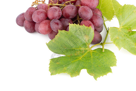 一堆红葡萄水果水滴生活食物健康饮食白色背景图片