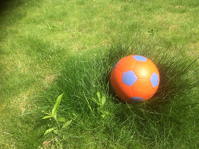 青草一中的橙色球背景图片