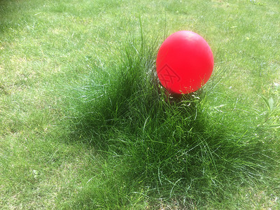草地中的红气球背景图片