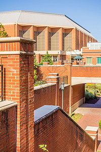 大学校园的现代和历史建筑历史性石工大学城竞技场海拔办公室植物建筑学楼梯教育背景图片