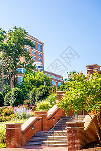 大学校园的现代和历史建筑大学城海拔楼梯石工植物竞技场历史性建筑学教育办公室背景图片