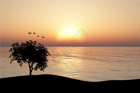 树植物太阳区系艺术爬坡晴天叶子插画师日落插图背景图片