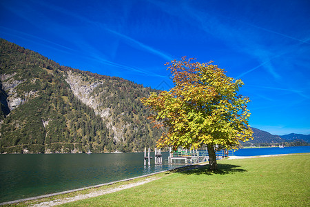 奥地利阿琴西湖秋季旅行蓝色天空假期湖泊季节风景森林背景图片