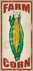 玉米农场的卡片背景图片