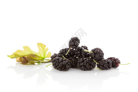 Mulberry果实烹饪果味药物团体紫色叶子桑果食物水果美食背景图片