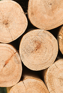 名贵木材 分辨率高分辨率褐色木纹理背景木地板木头控制板橡木壁板栅栏地面材料芯片风化背景