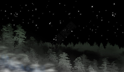 夜间迷雾森林的景观荒野插图星星林地生长植物场景叶子薄雾木头背景图片