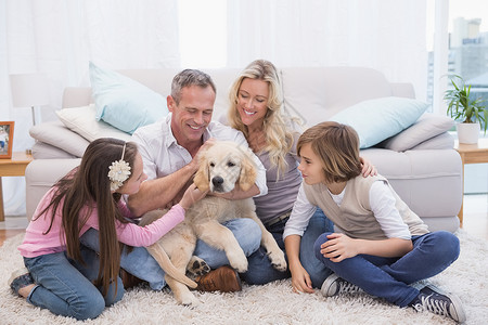 宠爱男人节在地毯上带着宠爱的黄拉布拉多 微笑的家庭小狗孩子长椅快乐女孩客厅男性父亲女性家庭生活背景