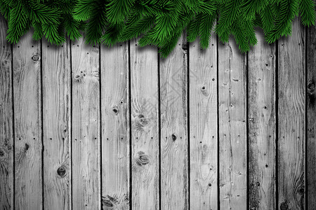 木制木板上的箭枝枞树环境灰色插图木头绿色叶子背景图片