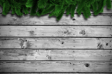 木制木板上的箭枝环境木头灰色绿色枞树插图叶子背景图片