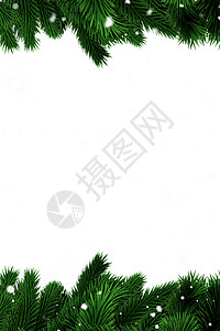 绿色fir树枝和下雪背景图片