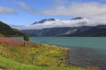 Ulsfjorden 沃尔夫约尔登高清图片