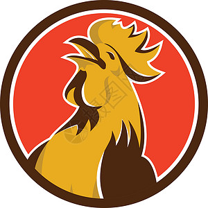 坐火箭的鸡鸡鸡公鸡叫圈雷特罗圆圈家禽插图艺术品动物农场野生动物插画