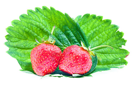 草莓异国茶点叶子情调沙拉活力照片热带农业早餐背景图片