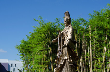 慈悲女神关燕 竹子园背景背景图片