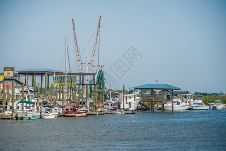 港口船坞内的渔船和渔船号湿地生活海洋码头运输大草原场景桅杆山羊水路背景图片