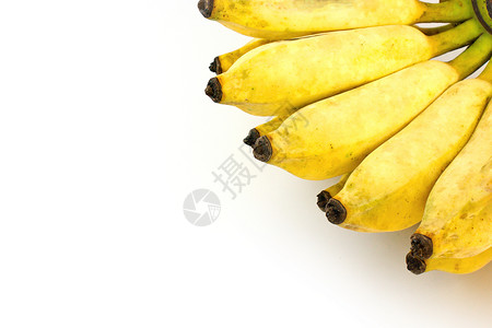 白种背景的种植香蕉黄色皮肤农业宏观热带白色绿色食物背景图片