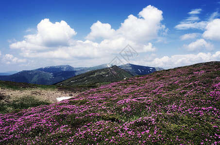带彩虹的山高地风景喀尔巴阡 乌克拉气候天空蓝色自由植物群阳光土地日落首脑植物学背景图片