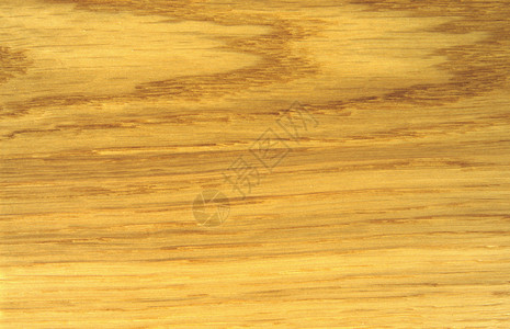 木表面木纹棕色松树年轮背景图片