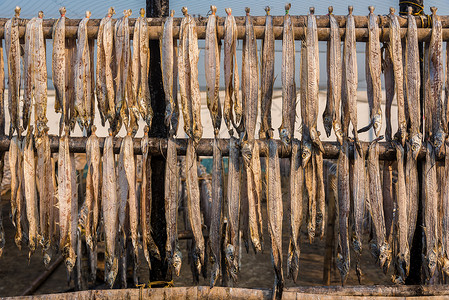 太阳鱼干燥鱼类配鱼阳光团体美食钓鱼太阳市场熏制白色食物海鲜背景