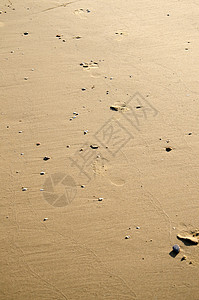 砂背景宏观棕色黄色风化沙丘金子海滩粒子褐色脆弱性背景图片