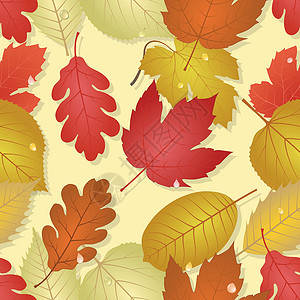 秋叶  无缝彩色方形背景图片