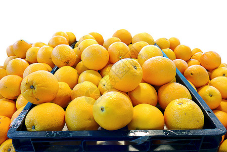祖弗里特星云橙 弗里特集团孤立的白色背景营养市场水果热带食物橘子橙子圆形脐橙黄色背景