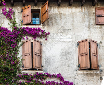 Windows 色彩多彩建筑学公寓阳台城市历史性花朵窗户街道旅行房子背景