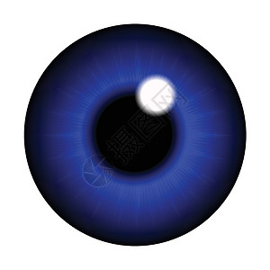 上镜的眼睛的学生 眼球 现实的矢量说明 孤立在白色背景上镜片蓝色宏观反射瞳孔鸢尾花球体插图插画