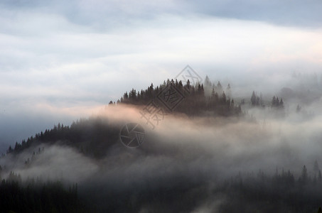 有浓雾的惊人山地景观 喀尔巴阡山脉天气旅行风景爬坡薄雾季节全景公园场景环境背景