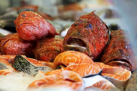 鱼蝎子生态脂肪海鲜食物餐厅饮食堂妹美食高清图片