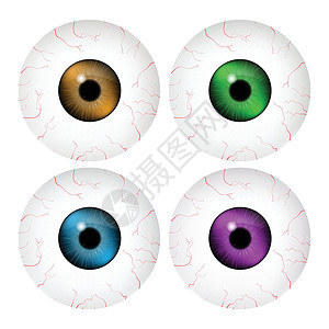 真实的人类眼球图像 与多彩的学生 iris 矢量插图孤立在白色背景上瞳孔眼睛蓝色鸢尾花解剖学静脉背景图片