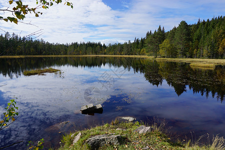 美丽的湖泊森林木头蓝色风景背景图片
