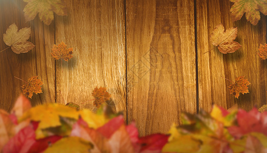 秋叶的复合图像橡木橙子树叶叶子木板桌子红色背景图片