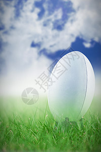 橄榄球复合图像绿色阳光蓝色晴天天空多云计算机草地绘图运动背景图片