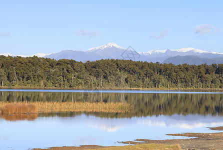 霍基蒂卡马希纳普亚湖 西海岸 新西兰反射地标森林公园天空晴天海岸池塘国家旅游背景