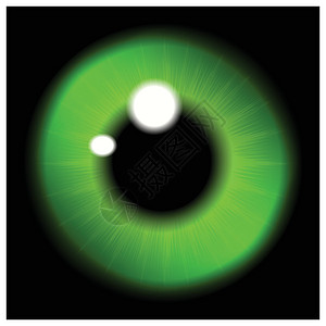 眼睛 眼球 虹膜眼等绿色学生的图像 在黑色背景中孤立的现实矢量说明背景图片