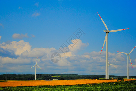 风速生态活力绿色农业力量场地背景图片
