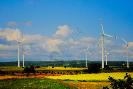 风速生态活力力量绿色农业场地背景图片