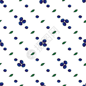 蓝口贝蓝蓝莓贝莓天然无缝背景白色绿色植物收成水果蓝色浆果紫色插画