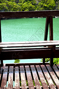 绿环礁湖和南阳林的海岸线背景图片