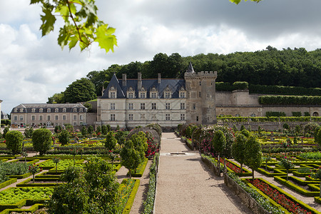 法国卢瓦尔谷花园和城堡玫瑰白菜头建筑学旅行地标葡萄园沙拉公园恶棍凉棚背景图片