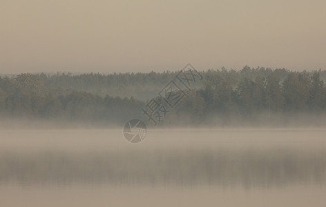 波兰河对面湖边的雾太阳风景场景池塘荒野日出农村天空薄雾图片