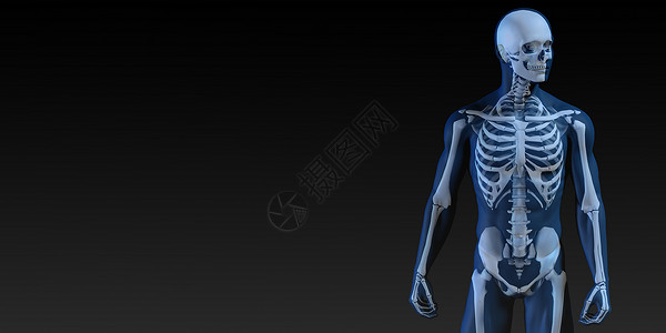 人体骨骼结构图生物学解剖学小册子损害技术身体推介会疼痛疾病海报背景