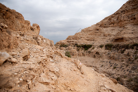犹太沙漠旅游旅行游客背景图片