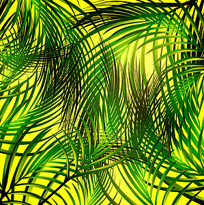 丛林棕榈背景背景图片
